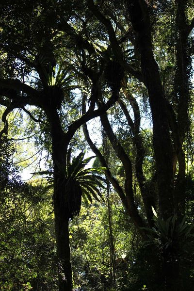 Chroniques malgaches (5) : La Montagne d'Ambre
