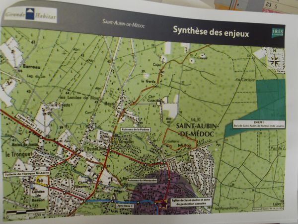 Qu'en est-il de la biodiversité à St Aubin du Médoc qui a lancé une enquête publique (du 9 septembre-12 octobre) pour un Programme d'Aménagement d'Ensemble de 60ha dans un site entièrement NATUREL?