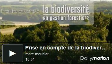 Un film pour prendre en compte la biodiversité dans la gestion de la forêt! On croirait qu'il s'agit du domaine du Bourdieu "avant": vous y apprendrez que les chevreuils se nourrissent des feuilles de ronces