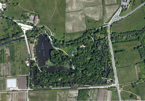 Naturjalles à la découverte des « arbres du Parc de Majolan » C'était le samedi 18 octobre