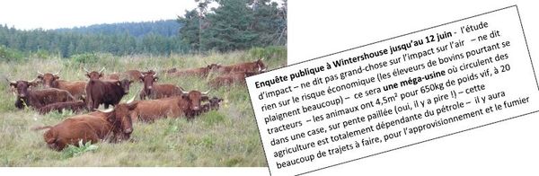 Je protège le climat et ma santé - je mange moins de viande.