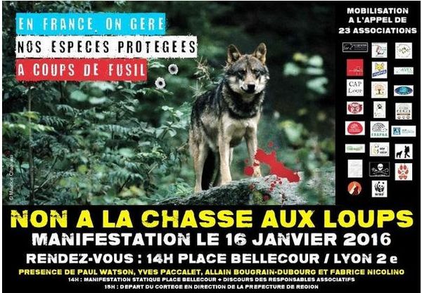 Avec "Action Nature" manifestons à Lyon pour le loup le 16 Janvier !