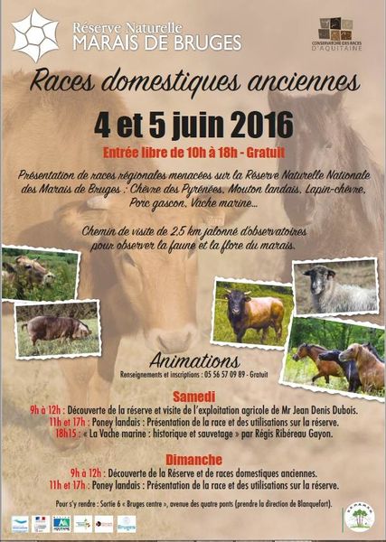 Découvrir « Les races anciennes régionales » à la Réserve Naturelle Nationale des Marais de Bruges 4 et 5 juin gratuite mais s'inscrire!