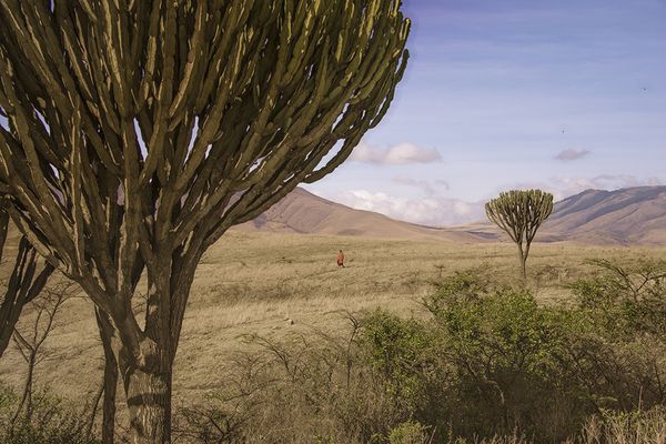 Tanzanie, en voyage et en musique