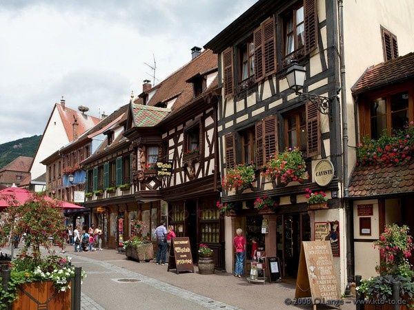 Route des vins d'Alsace, Obernai, Ribeauvillé, Colmar...