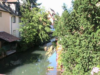 Route des vins d'Alsace, Obernai, Ribeauvillé, Colmar...