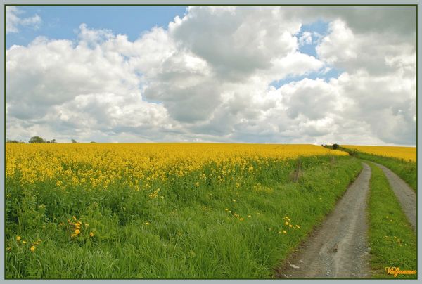 Le poète s'en va dans les champs