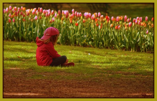 Il y avait un jardin