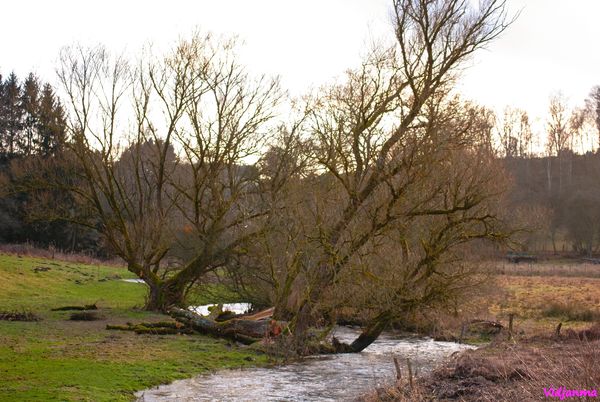 Les eaux de mars