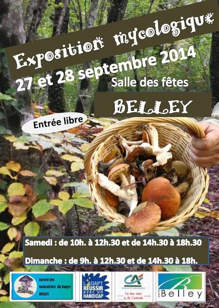 Exposition mycologique