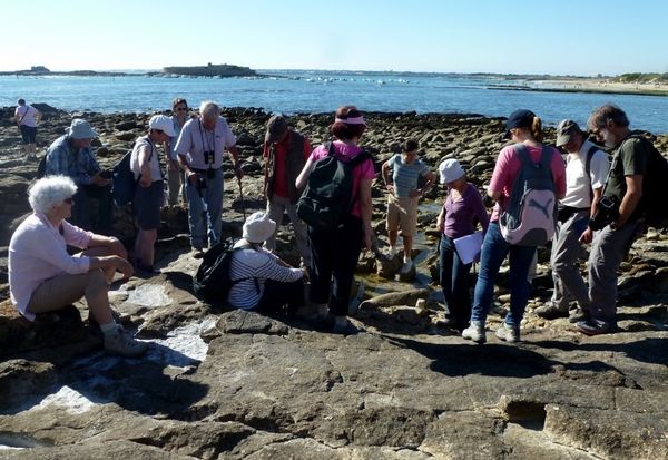 Le granite de Ploemeur à Fort-Bloqué (photo Marie Esnault)