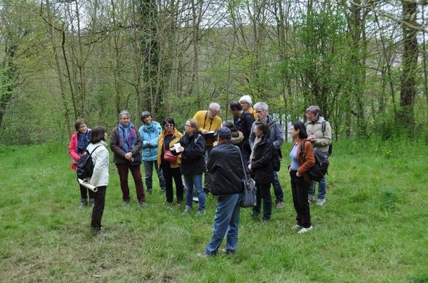 les participants dans la carrière de Laize-la-Ville