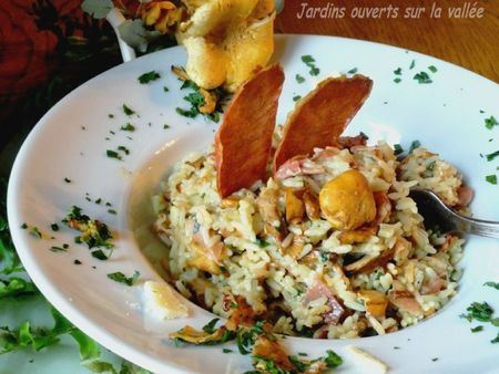 Riz façon risotto aux girolles et fleur d'ardenne