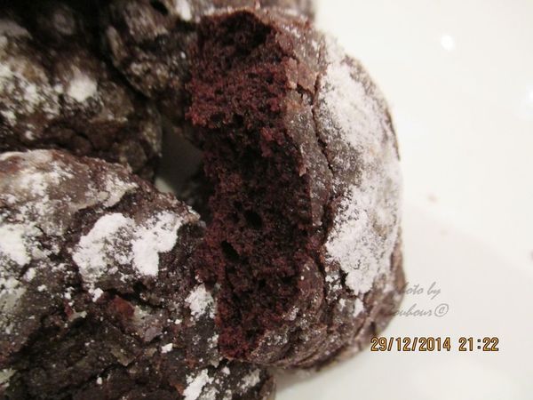 Biscuits aux Chocolats Terrible, Terrible Chocolates Cookies