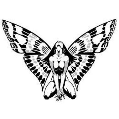 Voler Volare