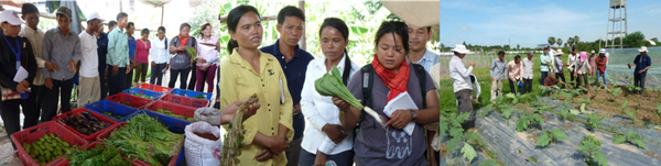 Voyage d'études à Svay Rieng pour les leaders paysans