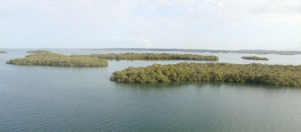 Bocas del Toro, Panama