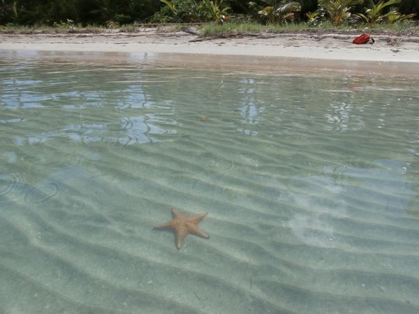 Bocas del Toro, Panama