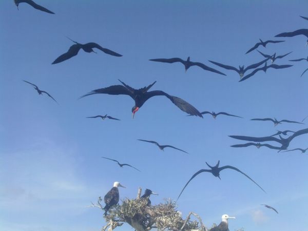 De San Andres (Colombie) au Rio Dulce (Guatemala)