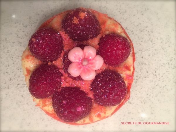 Tartes aux framboises sur lit de crème vanille