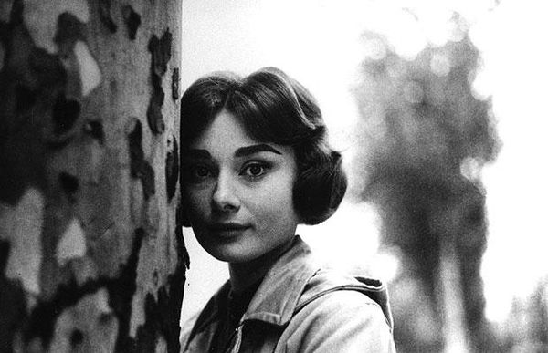 Elle émoi