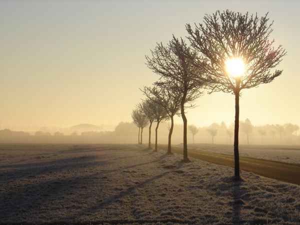 soleil d'hiver