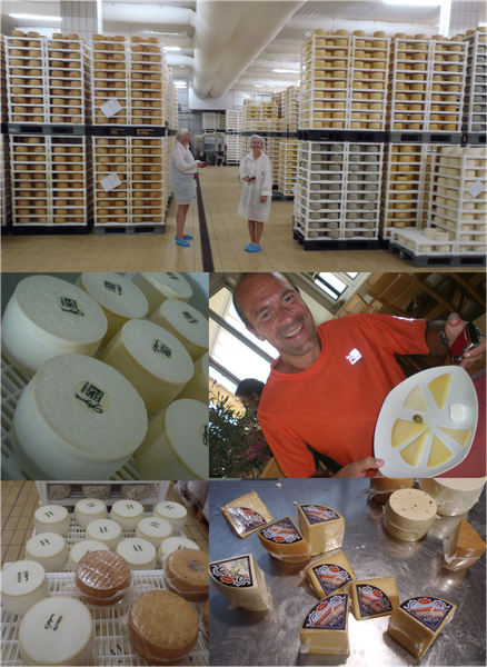 Le fameux fromage de Pag