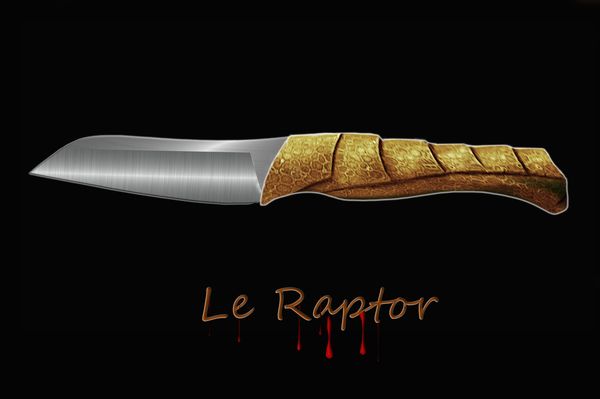 Collaboration : Le "Raptor"