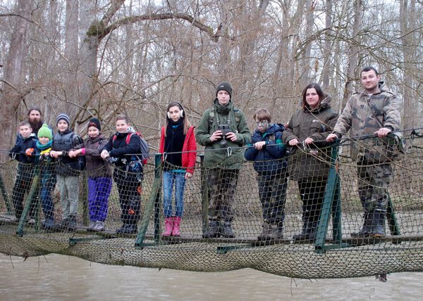 Les JPN dans la forêt inondée de l’Illwald