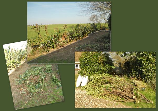 Jardinage