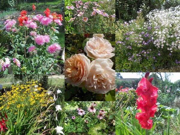 Jardin de septembre