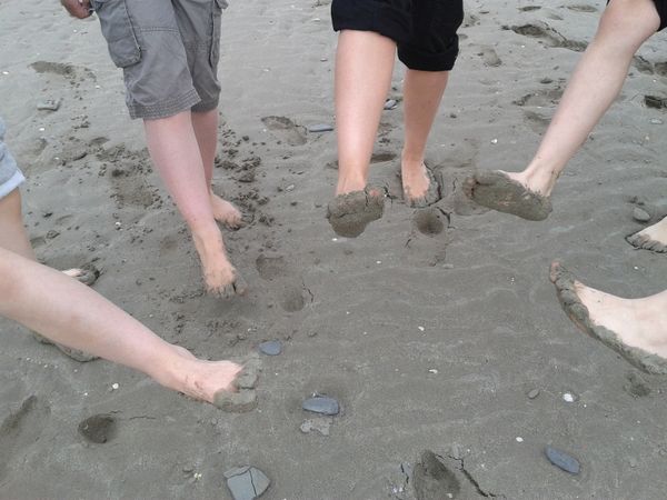 CE2-CM1 Au Mont St Michel !