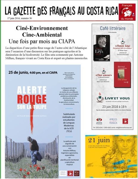 Bulletin numéro 31