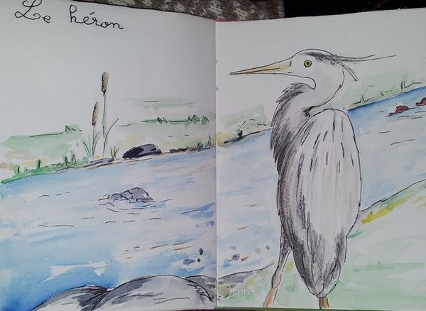 aquarelle