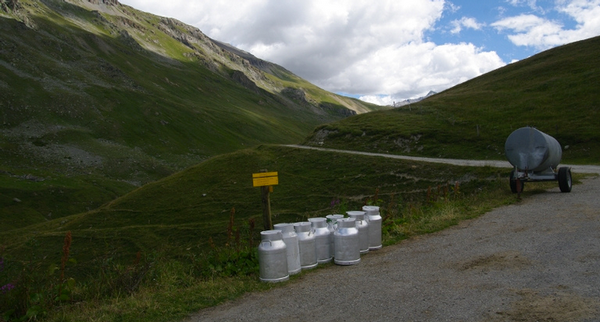 SAVOIE, SUEDE, LAIT, EU, ONU, FAO, CALCIUM, YAOURT, NOUVEL ORDRE MONDIAL, FRANC-MACON, BRUXELLES, STRASBOURG, CHEMTRAILS, ECHO DES MONTAGNES, FREDERIC BERGER