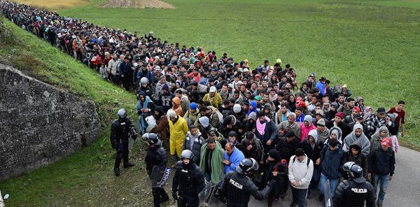 « MIGRANTS » : QUAND L’UE RECONNAÎT QUE LES VRAIS RÉFUGIÉS SONT MINORITAIRES…