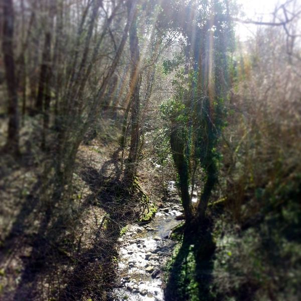 Le dernier dimanche d'hiver