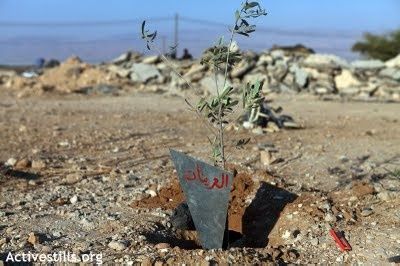 La solidarité internationale avec la Palestine.