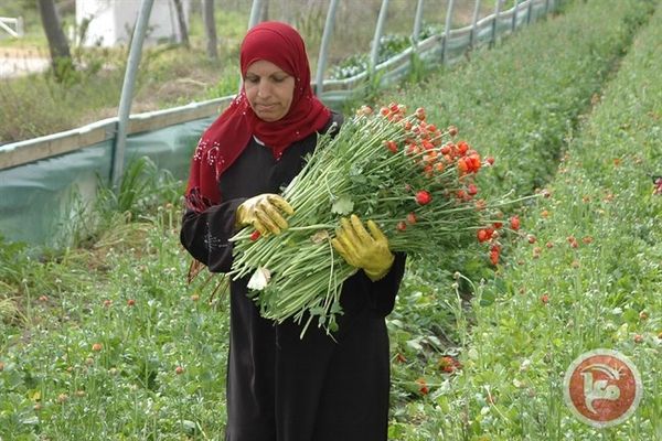 Les femmes palestiniennes