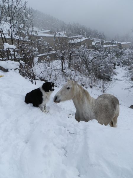 Neige en janvier...soleil en été.