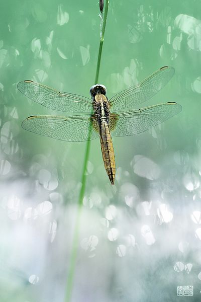 Et après la pluie ?...