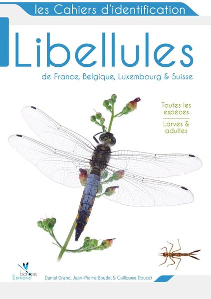 Libellules de France, de Navarre et d'ailleurs...