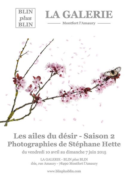 Les ailes du désir saison 2...