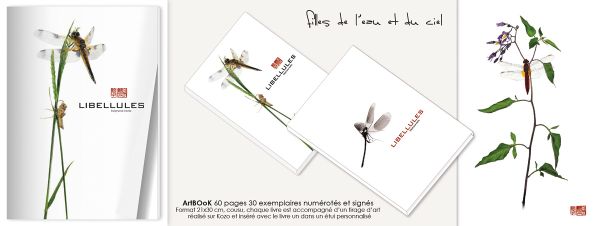 ArtBOoK LIBELLULES