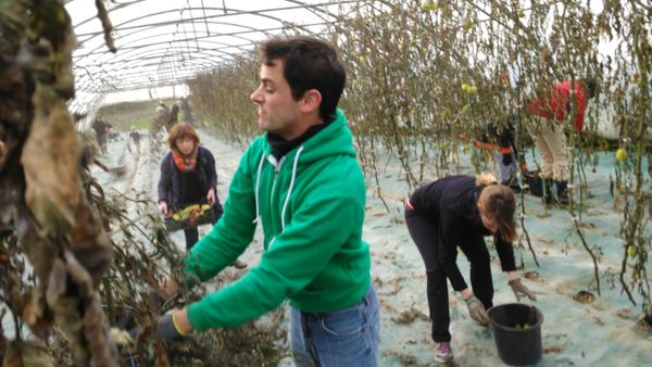 Chantier aux Charbonnières 29 novembre 2015
