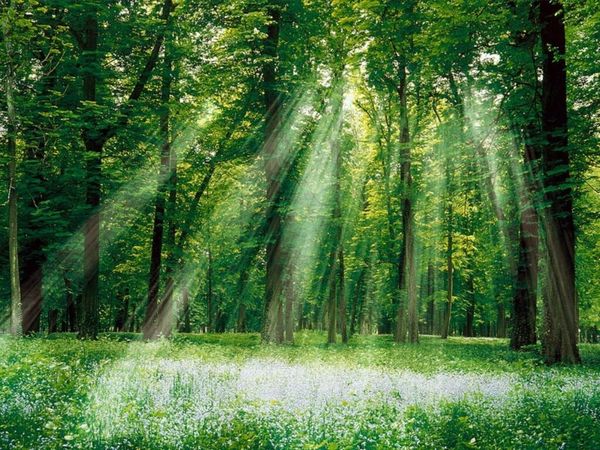 Se libérer de Nos émotions négatives avec la réfléxologie