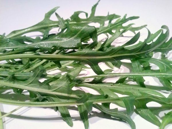 Pistou à la roquette