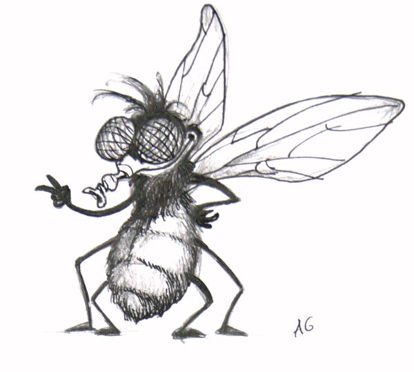 My name is La Mouche