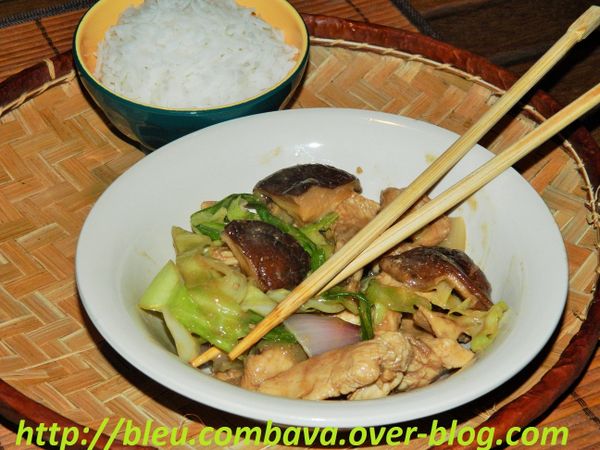 Poulet aux Champignons Shiitaké (Chine)