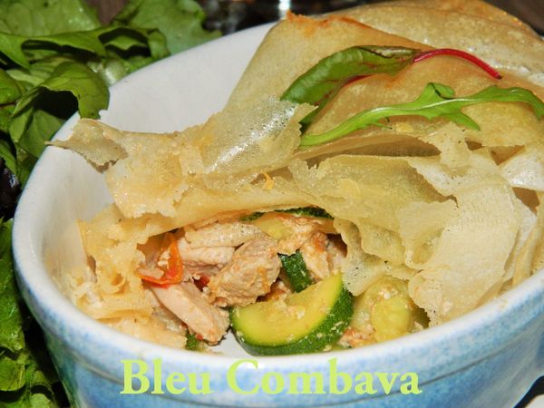 Poulet et Courgettes Coco en Feuilles de Brick